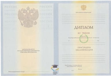 Диплом СЛИ 2010-2011 годов